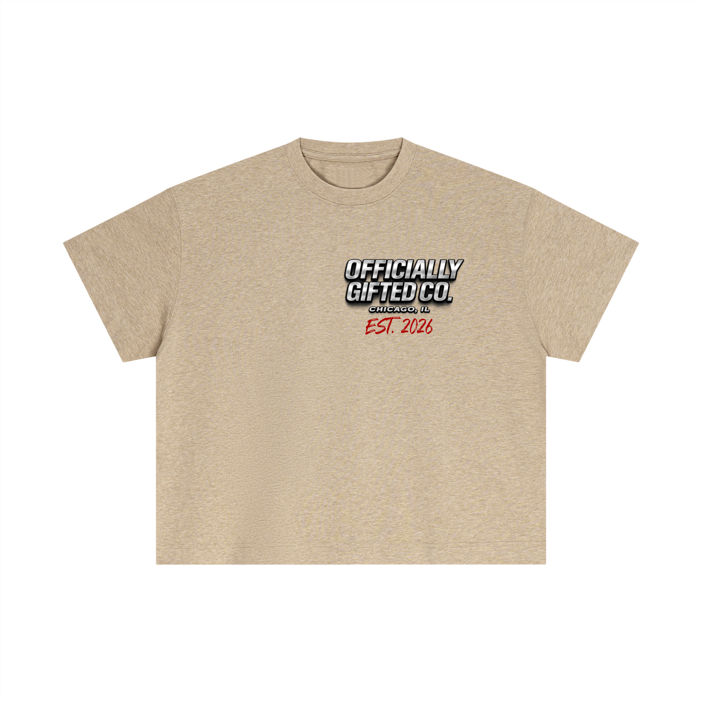 OG CO. Essential Cotton Boxy T-Shirt