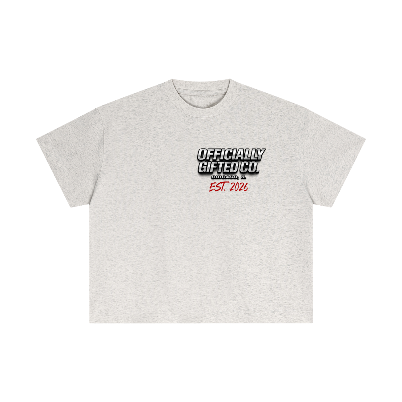 OG CO. Essential Cotton Boxy T-Shirt