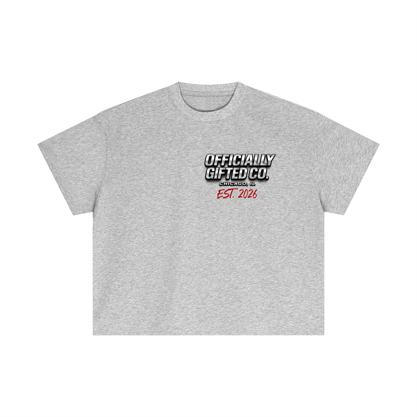 OG CO. Essential Cotton Boxy T-Shirt
