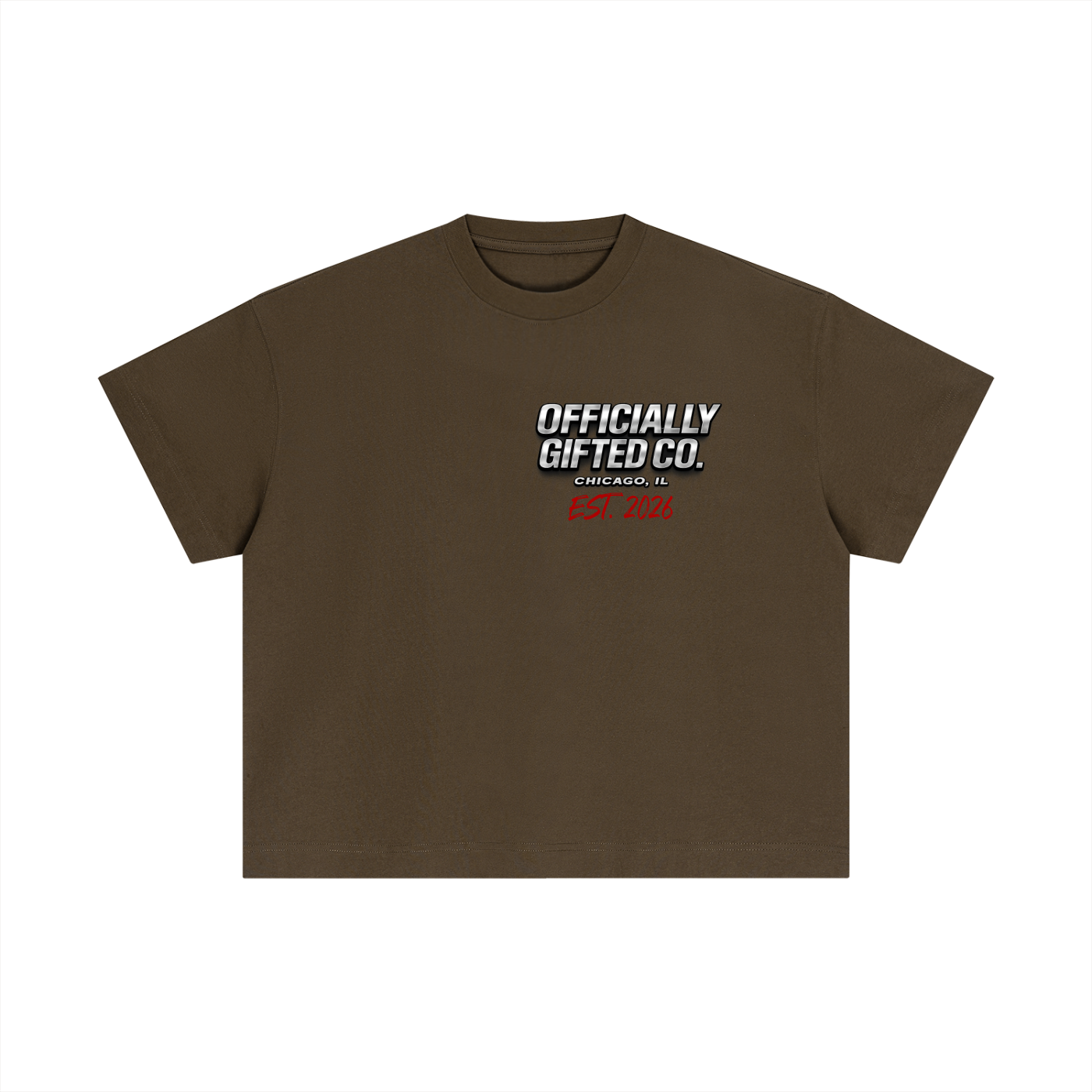 OG CO. Essential Cotton Boxy T-Shirt